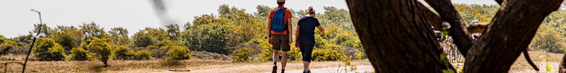 duinwandeling.jpg