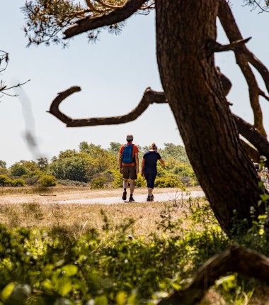 duinwandeling.jpg