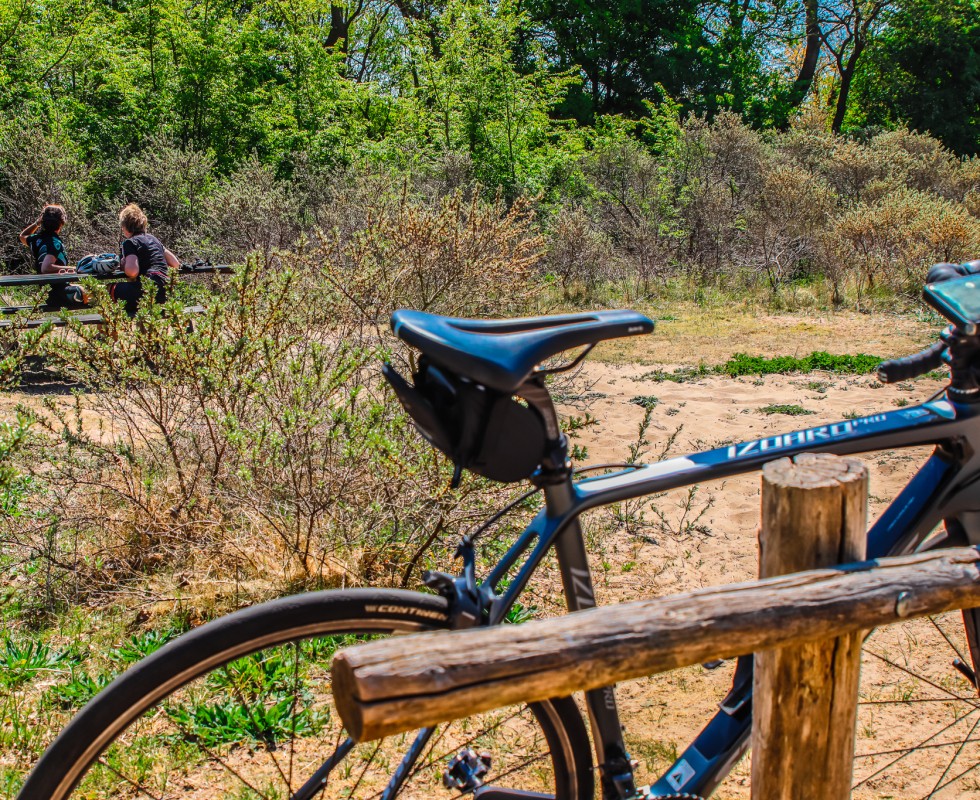 Egmond Duinreservaat.jpg