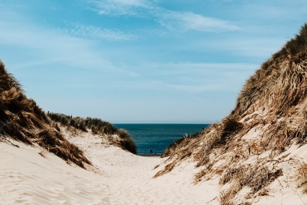 duin strand.jpg
